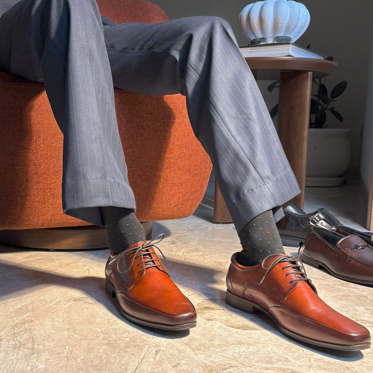 Verona Scotch Derby