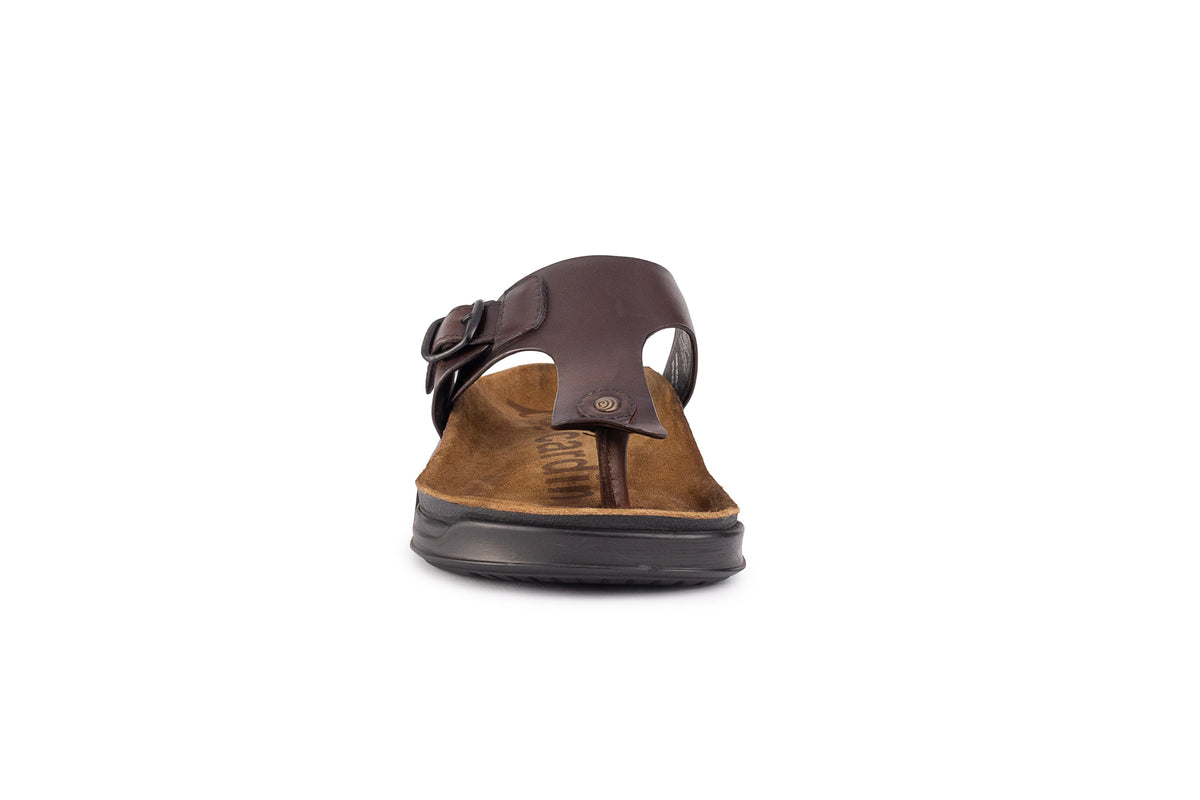 Embrace: Brown Buckle Thong