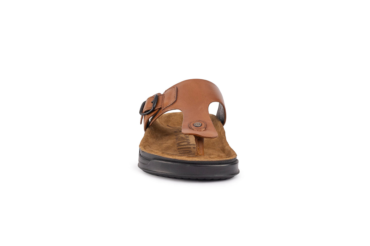 Embrace: Cognac Buckle Thong