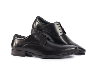 Verona Black Derby