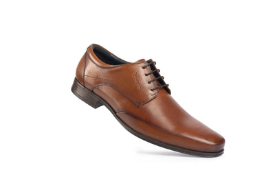 Verona Scotch Derby