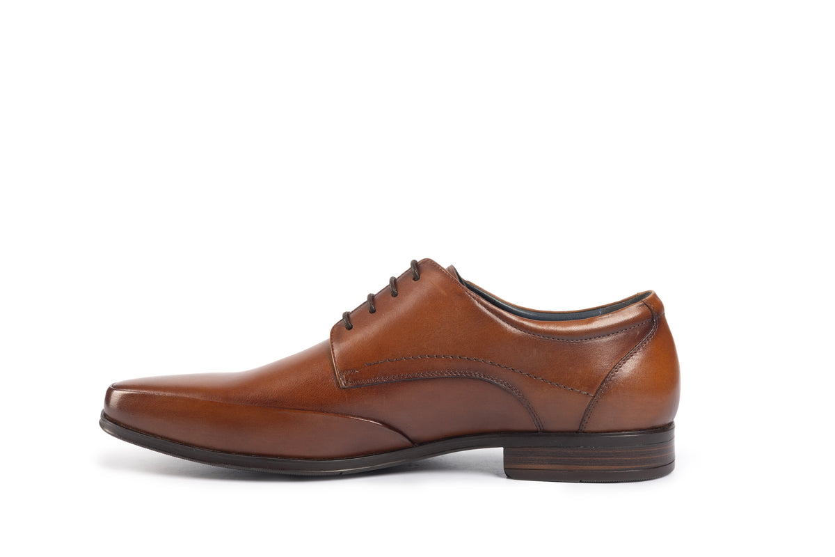 Verona Scotch Derby