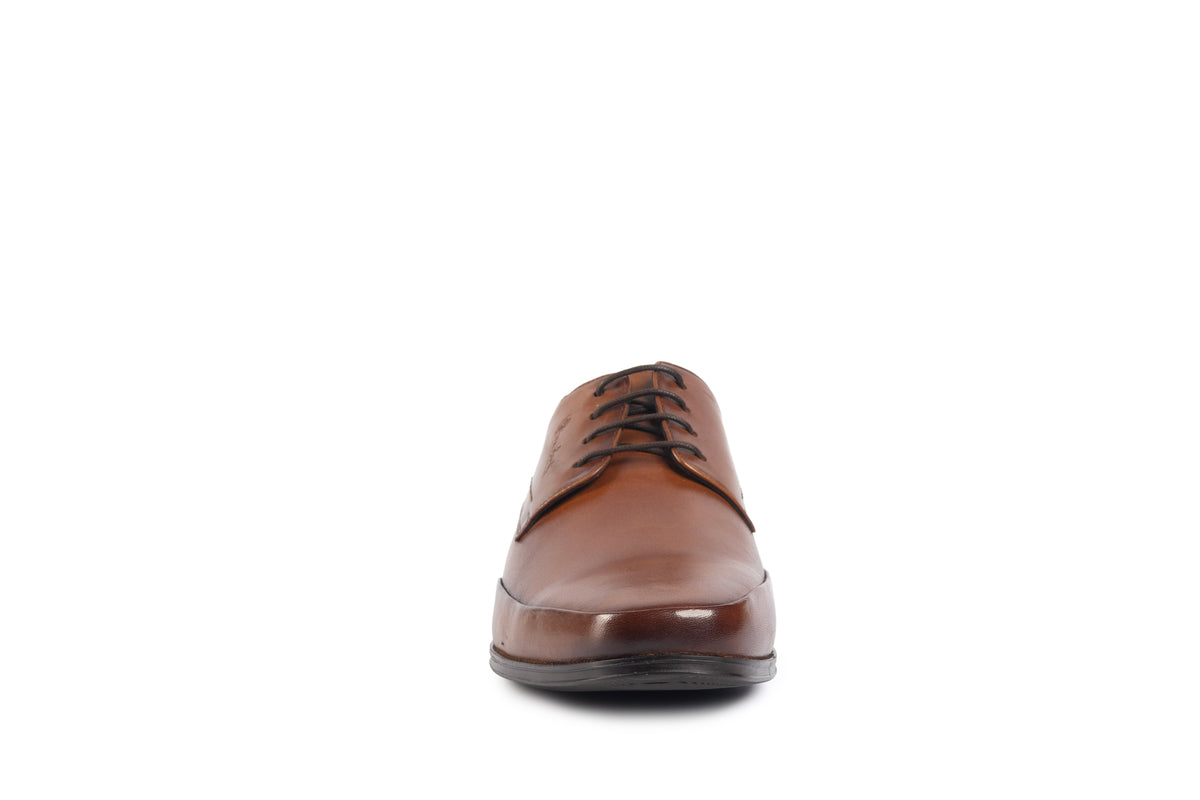 Verona Scotch Derby