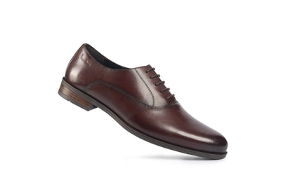 Trieste Café Plain-toe Oxford