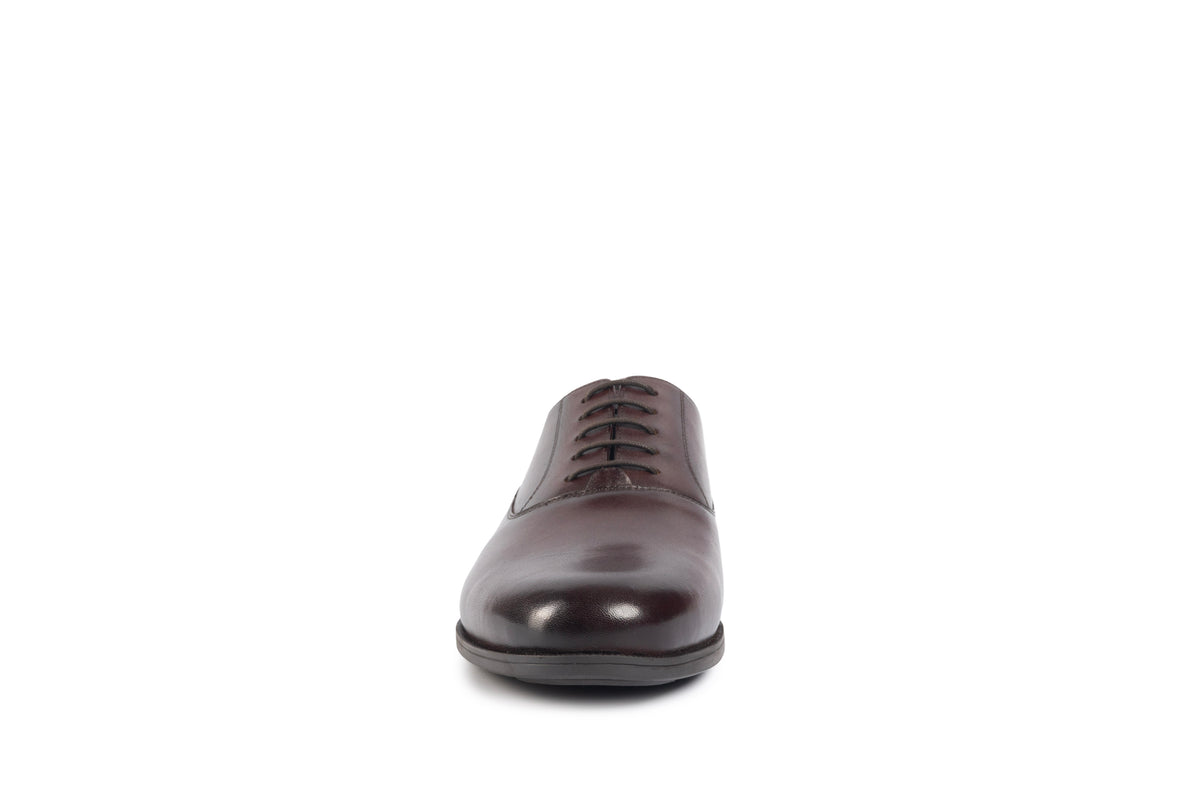 Trieste Café Plain-toe Oxford